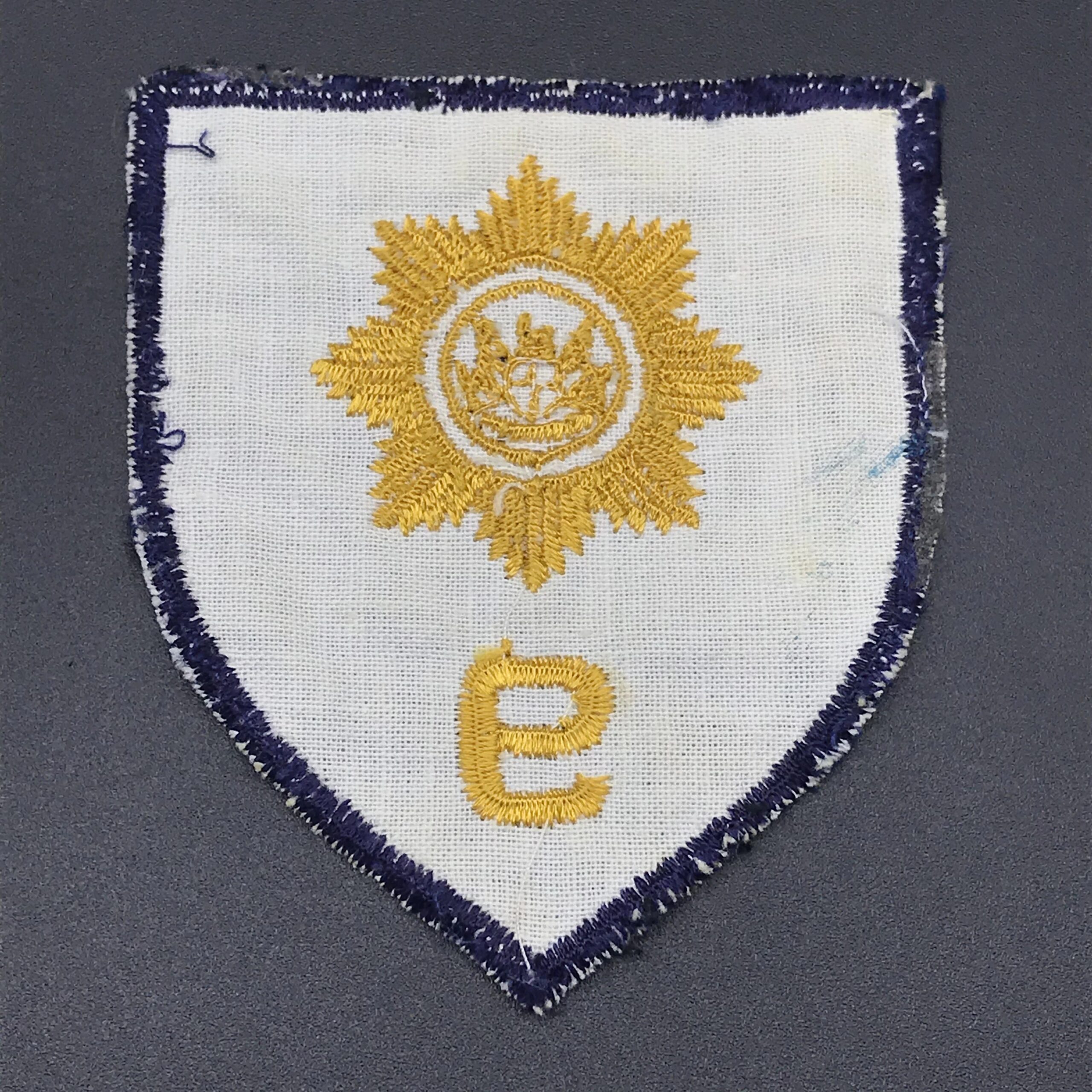 Old S.A.P. Reaction Unit 9 Cloth Arm Patch