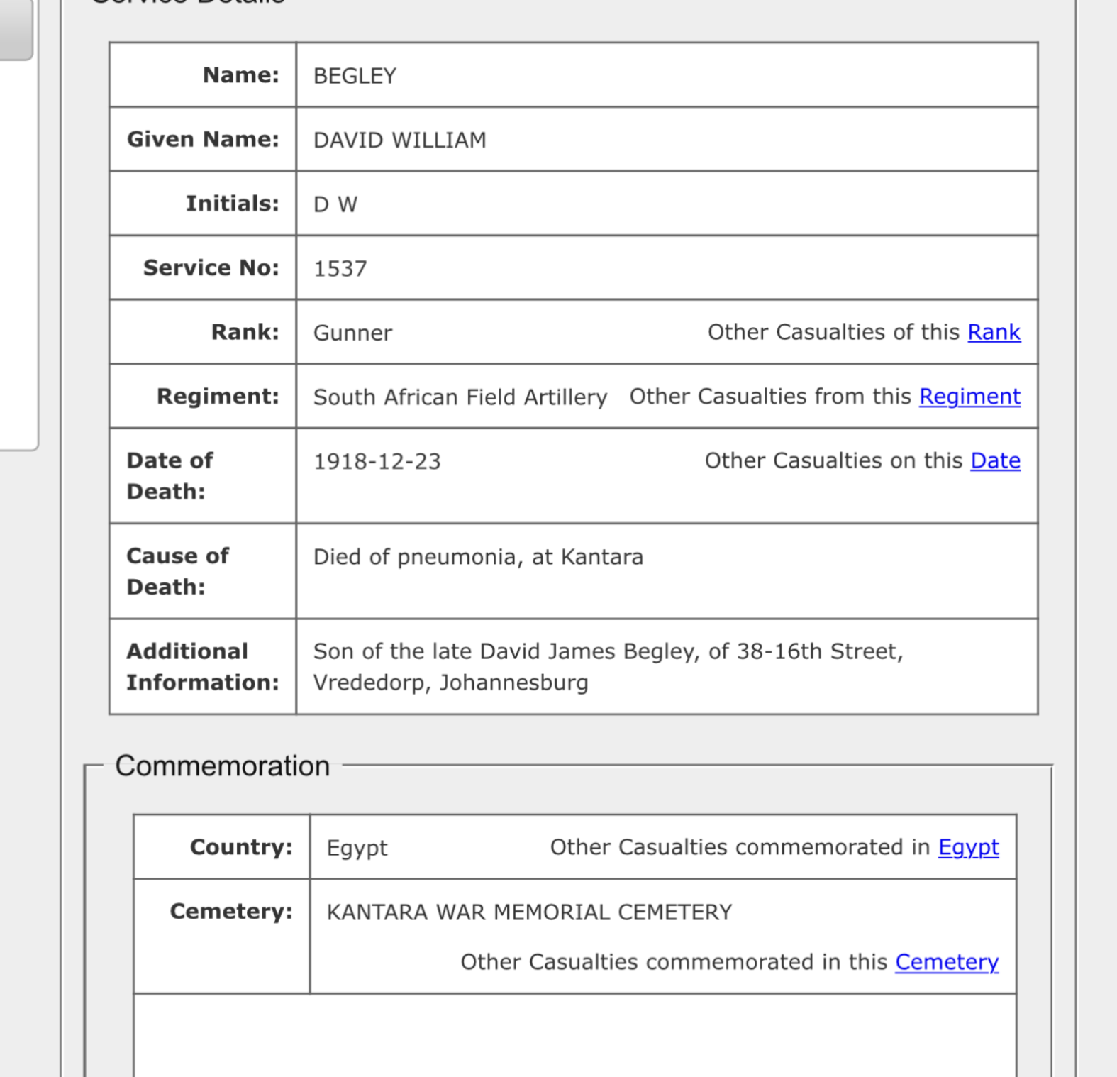 WW1 Death Plaque to ‘D.W. Begley’ - S.A. Field Artillery (23/12/18) - Image 14