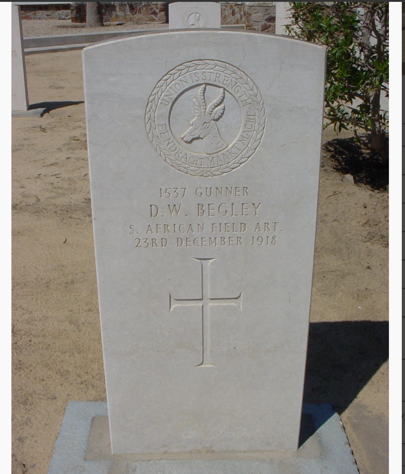 WW1 Death Plaque to ‘D.W. Begley’ - S.A. Field Artillery (23/12/18) - Image 13