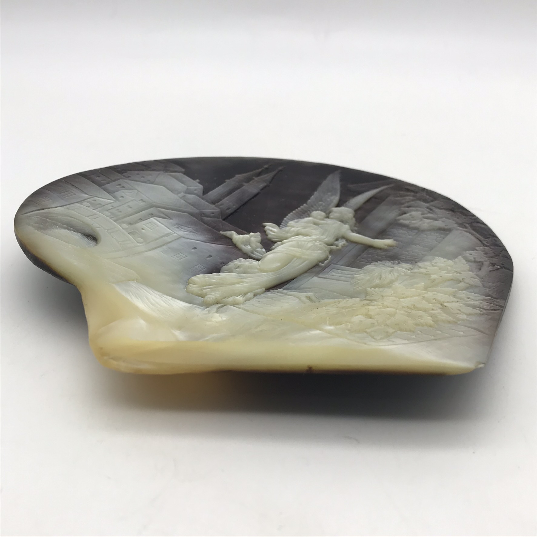 Incredible Antique ‘Carved Pearl Oyster Shell’ (Pinctada) - Image 7