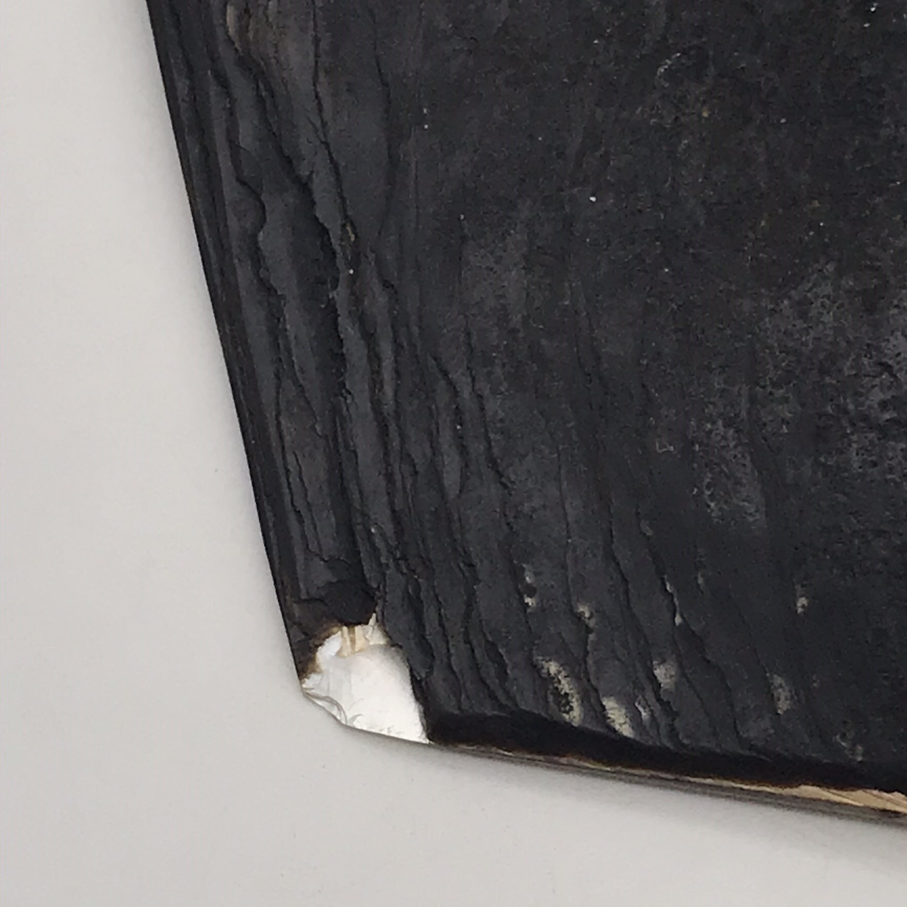 Incredible Antique ‘Carved Pearl Oyster Shell’ (Pinctada) - Image 9