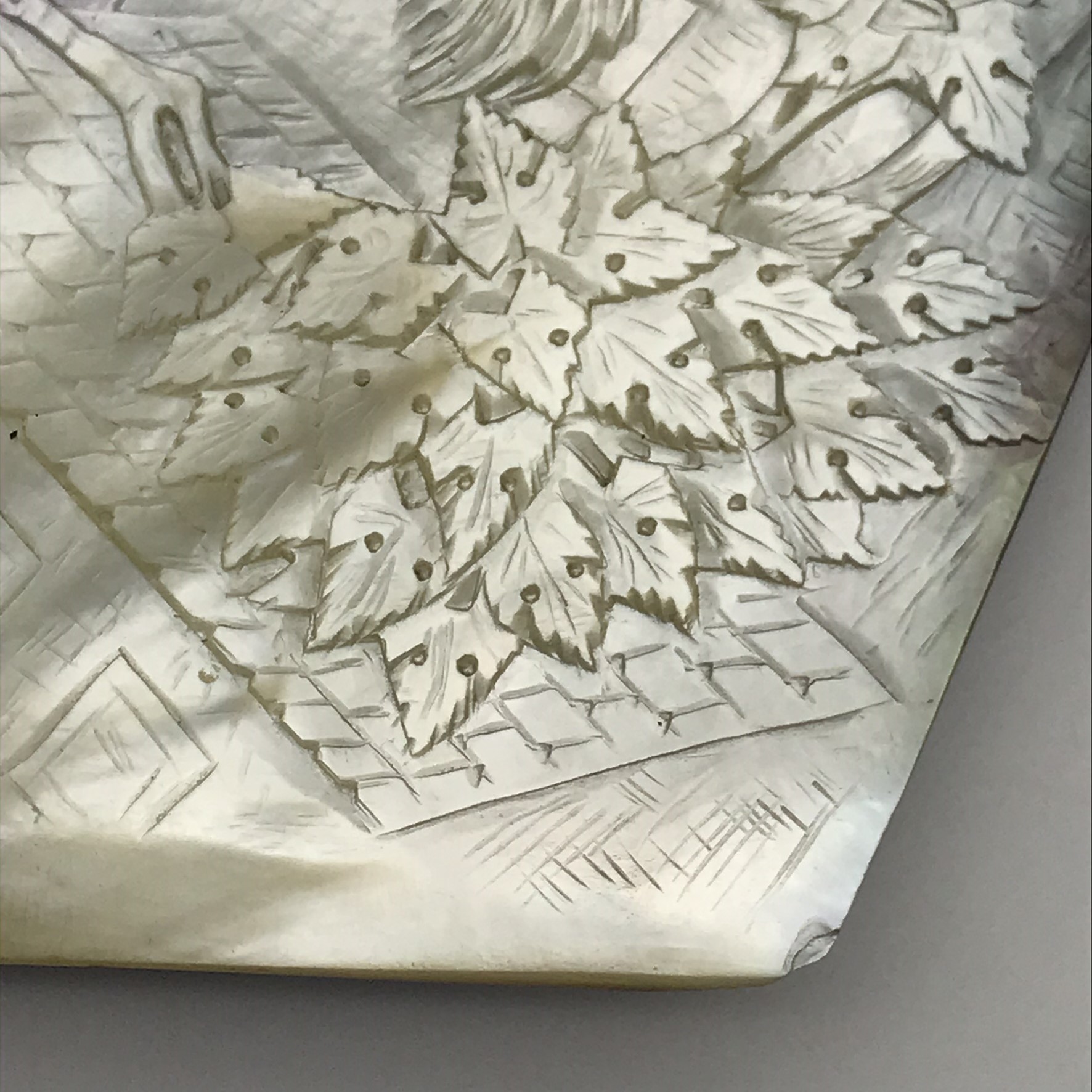 Incredible Antique ‘Carved Pearl Oyster Shell’ (Pinctada) - Image 6