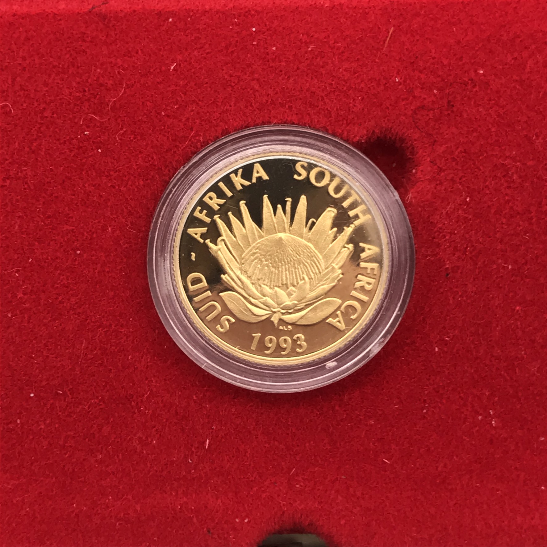 Gold 1/10 oz Proof 1993 Protea Coin (Boxed) - Image 2