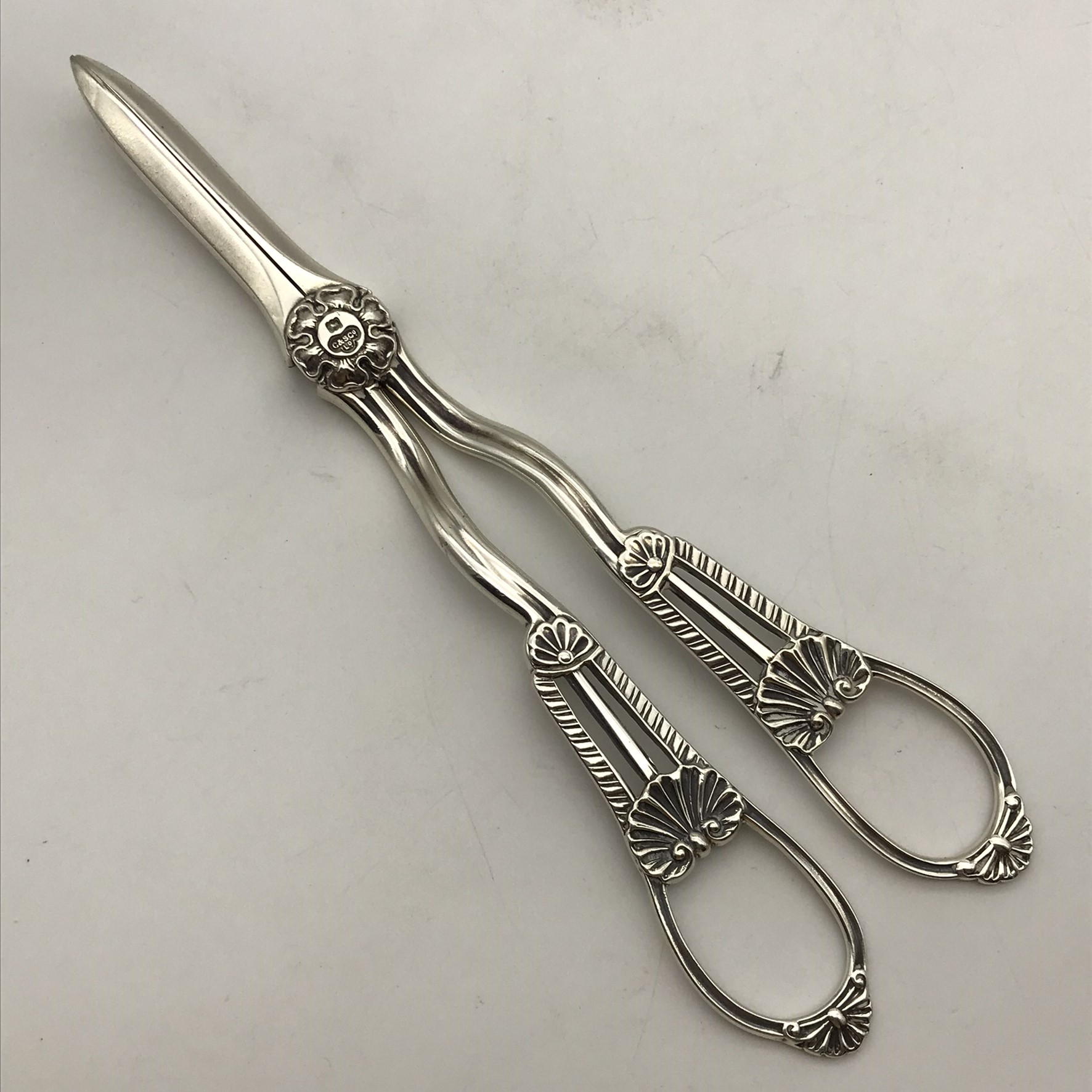 Antique Sterling Silver Grape Scissors (Cased) - Image 4