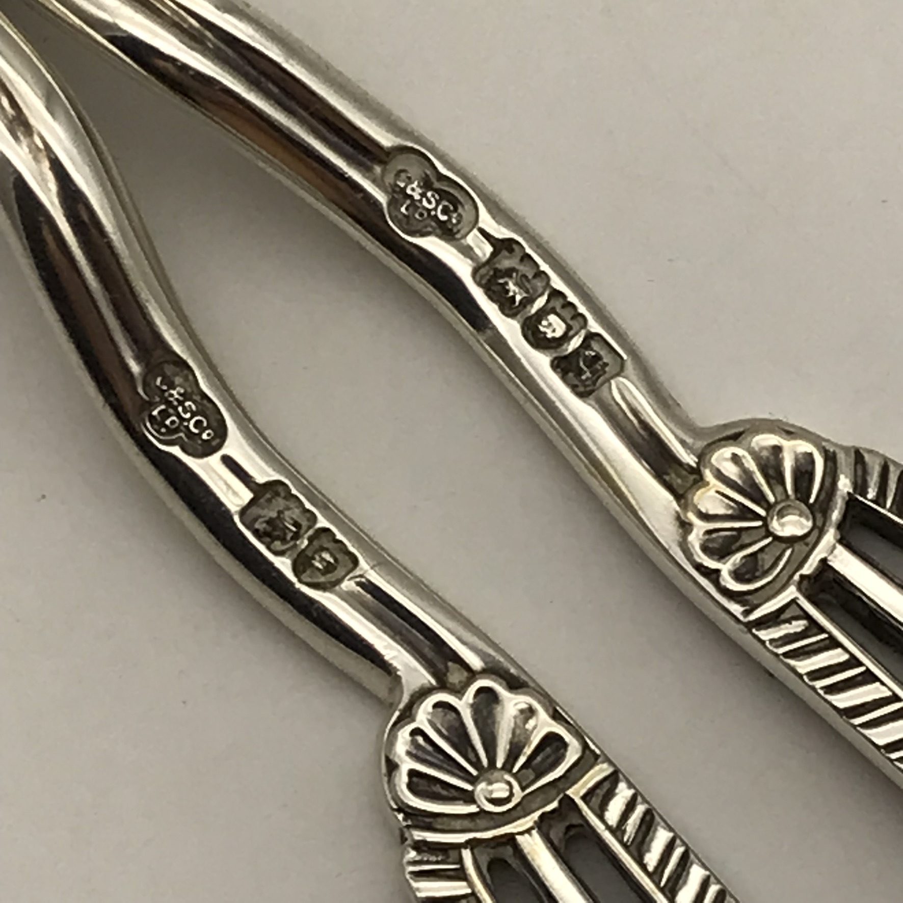 Antique Sterling Silver Grape Scissors (Cased) - Image 11