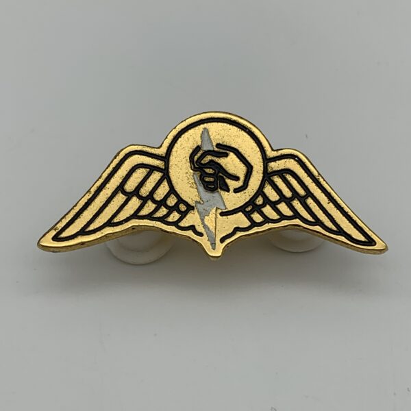 S.A. ‘Railway Police Task Force’ Para Wings